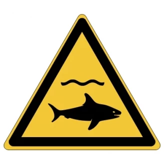 Danger Requins